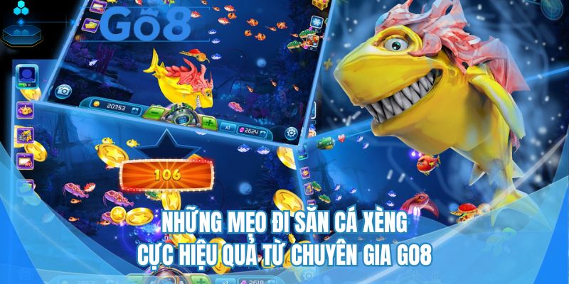 Chia sẻ những bí quyết săn cá cực đỉnh cho newbie