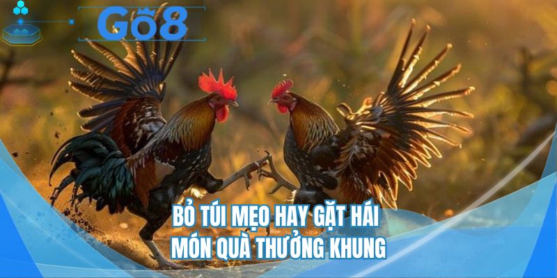 Bỏ túi mẹo hay gặt hái món quà thưởng khung