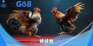 Đá Gà 88