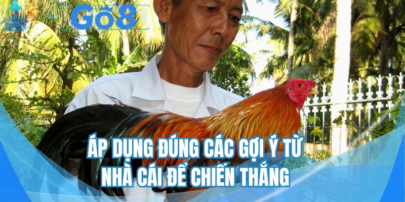 Áp dụng đúng các gợi ý từ nhà cái để chiến thắng
