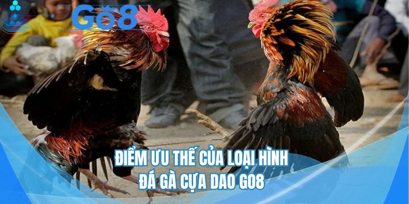 Điểm hấp dẫn của loại hình đá gà cựa dao đình đám