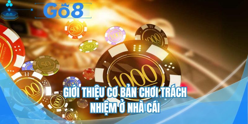 Giới thiệu cơ bản chơi trách nhiệm ở nhà cái