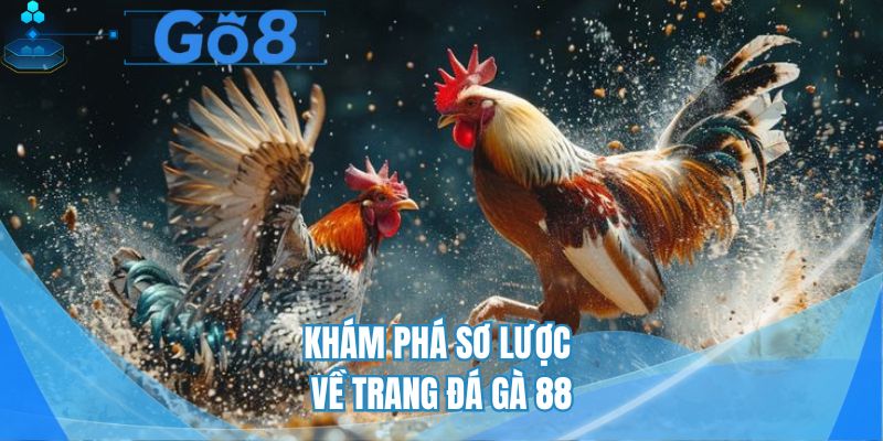Khám phá sơ lược về trang Đá gà 88