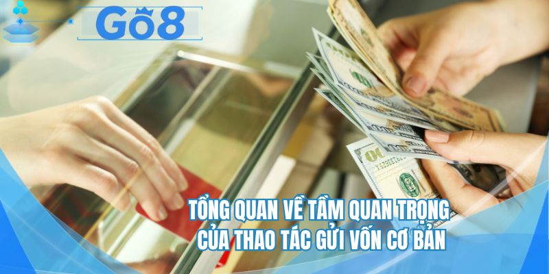 Tổng quan về tầm quan trọng của thao tác gửi vốn cơ bản