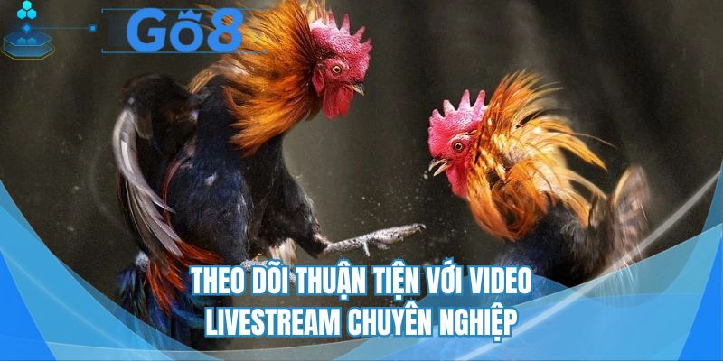 Theo dõi thuận tiện với video livestream chuyên nghiệp