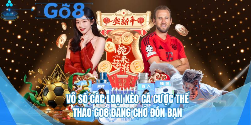 Vô số các loại kèo cá cược thể thao tại GO8 đang chờ đón bạn